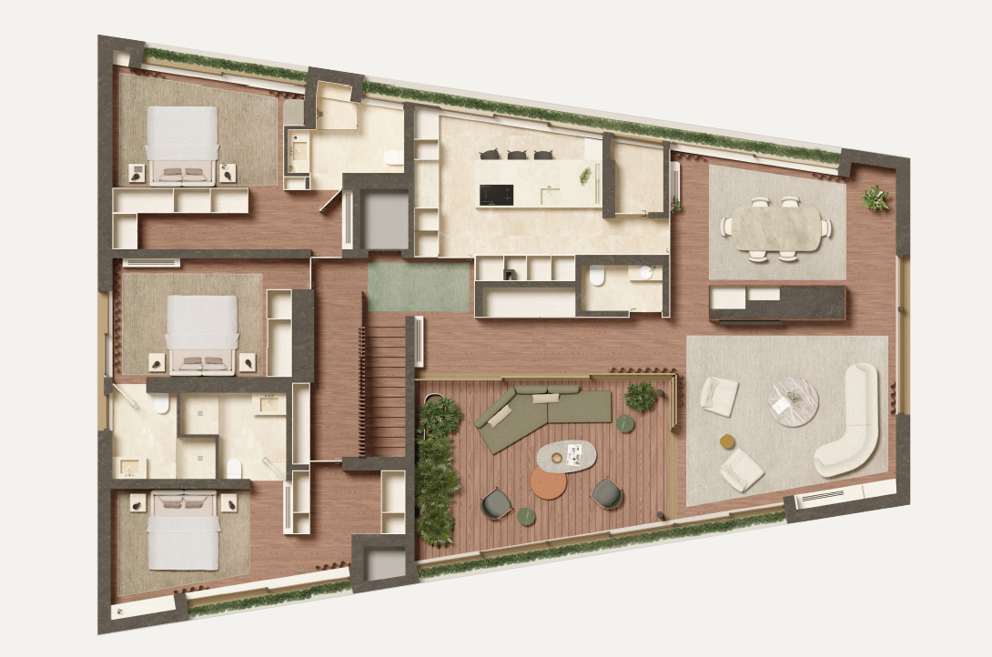 fv5-planta